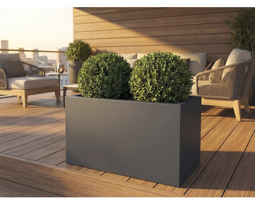 Obdélníkový truhlík se dvěma koulemi buxusu na terase
