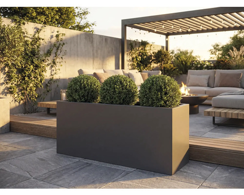 Venkovní snímek obdélníkového tmavého truhlíku se třemi kulovitými rostlinami na kamenné terase