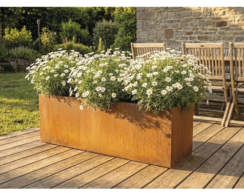 Kovový truhlík s kopretinami na dřevěné terase