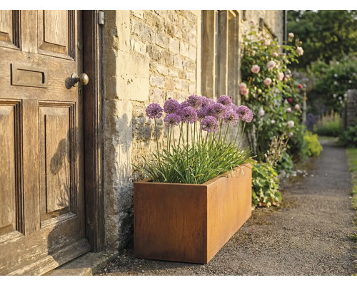 Obdélníkový kovový květináč s okrasným česnekem vedle vchodových dveří