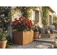 Okrasná zahrada s růžemi v květináčích a posezením