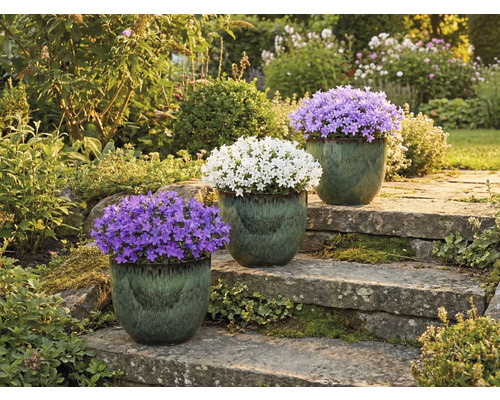 Tři zvonky v květináčích na kamenném schodišti v zahradě.