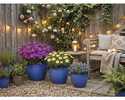 Dekorativní zahrada se zahradním nábytkem, rostlinami a osvětlením