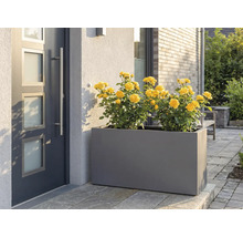 Šedý truhlík s žlutými růžemi před vchodovými dveřmi