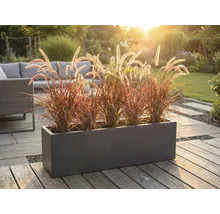 Dekorativní květináč s okrasnými trávami na terase