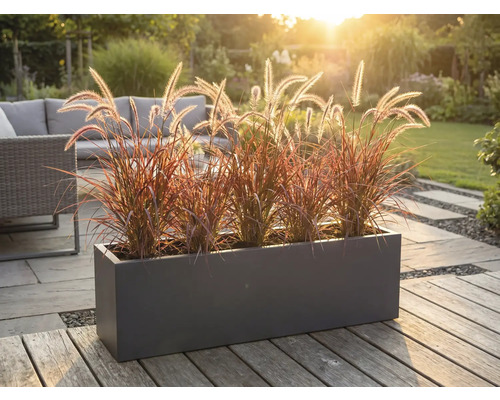 Dekorativní květináč s okrasnými trávami na terase