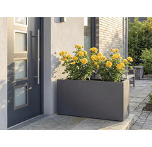 Květináč se žlutými růžemi před vchodovými dveřmi.