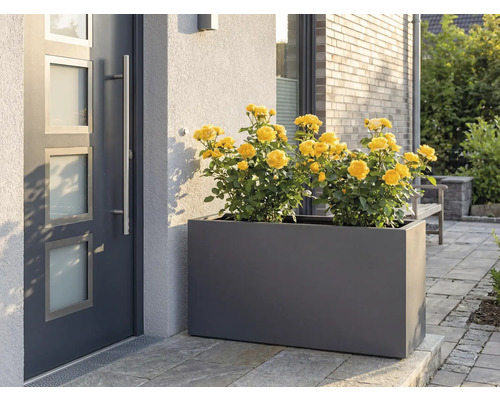 Květináč se žlutými růžemi před vchodovými dveřmi.