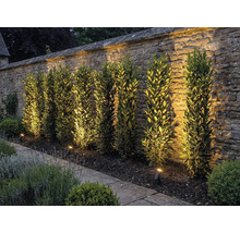 Zahrada s kamennou zdí, rostlinami a venkovním osvětlením