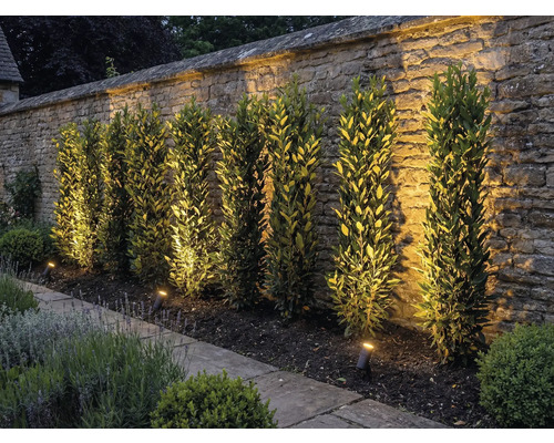 Zahrada s kamennou zdí, rostlinami a venkovním osvětlením