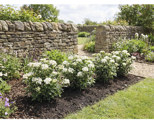 Zahrada s kamennou zdí a kvetoucími keři