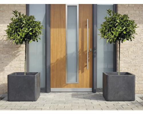 Okrasné listnaté stromy v čtvercových květináčích před vchodovými dveřmi