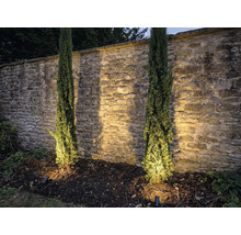 Scéna se dvěma sloupovitými cypřiši před kamennou zdí a zahradním osvětlením