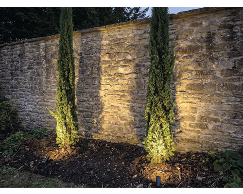 Scéna se dvěma sloupovitými cypřiši před kamennou zdí a zahradním osvětlením