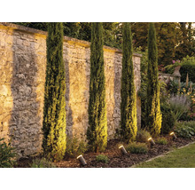 Zahrada s italskými cypřiši a zahradními reflektory k osvětlení kamenné zdi