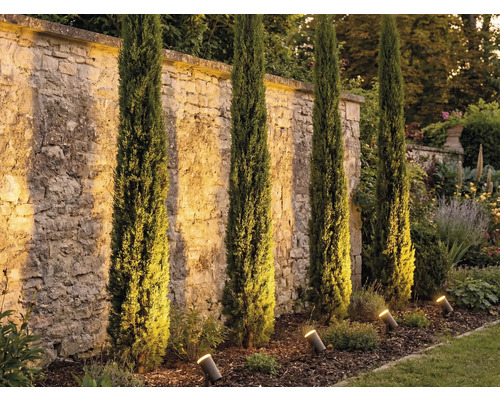 Zahrada s italskými cypřiši a zahradními reflektory k osvětlení kamenné zdi