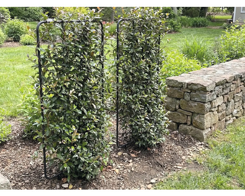 Dva kovové mřížové rámy pokryté listím stojí v zahradě.