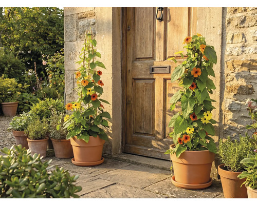 Květiny v květináčích před domovními dveřmi