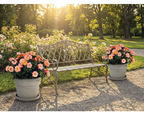 Scéna se zahradní lavicí a květináči venku