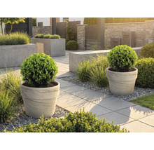 Upravená zahrada s květináči a chodníkovými dlaždicemi