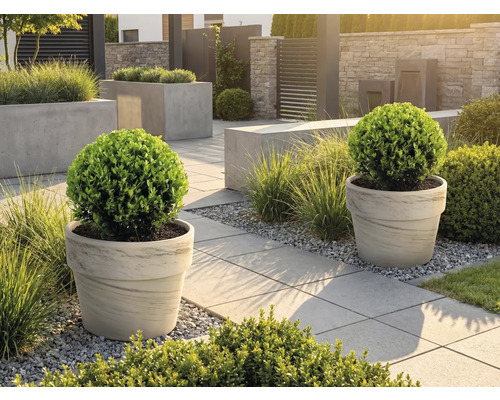 Upravená zahrada s květináči a chodníkovými dlaždicemi