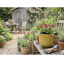 Zahradní scéna s dřevěným zahradním domkem, zahradní stolovou sestavou a osázenými květináči na dřevěné lavici