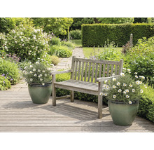 Zahradní krajina s dřevěnými lavičkami a kopretinami v květináčích.