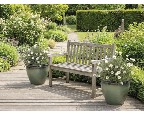 Zahradní krajina s dřevěnými lavičkami a kopretinami v květináčích.