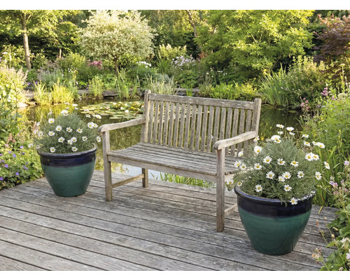 Zahradní scéna s dřevěnou lavicí, jezírkem a květinami v květináčích na dřevěné terase