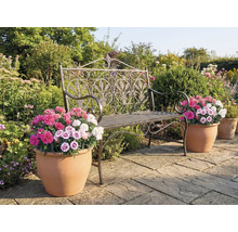 Zahradní scéna s dekorativní kovovou lavičkou a květináči s barevnými květy