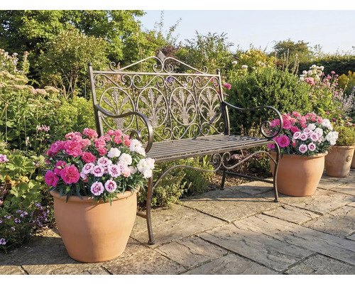 Zahradní scéna s dekorativní kovovou lavičkou a květináči s barevnými květy