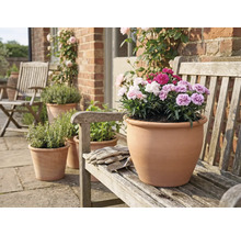 Terakotový květináč s karafiáty na dřevěné lavičce v zahradě.