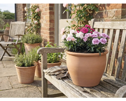 Terakotový květináč s karafiáty na dřevěné lavičce v zahradě.