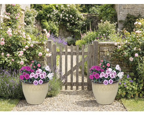 Zahradní scéna se dvěma osázenými květináči a dřevěnou brankou