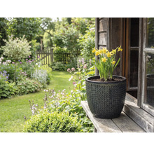 Žluté narcisy ve strukturovaném květináči na dřevěné desce před zahradní krajinou