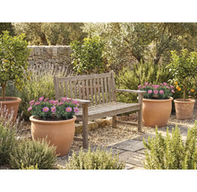 Zahradní prostor s dřevěnou lavicí a květináči