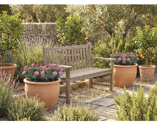 Zahradní prostor s dřevěnou lavicí a květináči