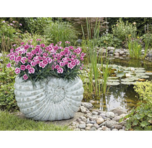 Zahradní scéna s rybníkem a osázenou květinovou nádobou ve tvaru šneka