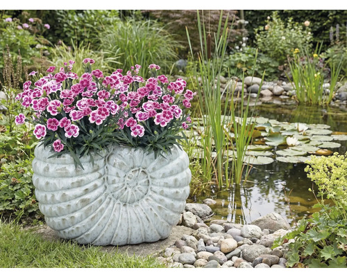 Zahradní scéna s rybníkem a osázenou květinovou nádobou ve tvaru šneka