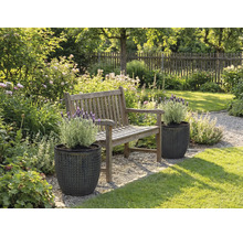 Zahradní krajina s dřevěnou lavicí a rostlinami ve strukturovaných květináčích