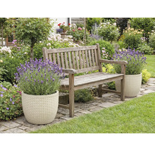 Zahrada s dřevěnou lavičkou a levandulí v květináčích