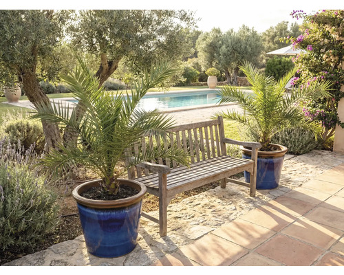 Zahradní scéna s dřevěnou lavicí a datlovými palmami v květináčích u bazénu