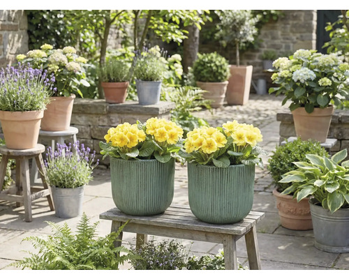 Dekorativní zahradní scéna se žlutými květy v květináčích