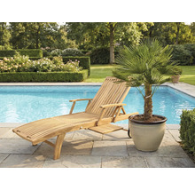 Dřevěné lehátko vedle bazénu a palma v květináči