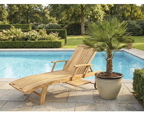 Dřevěné lehátko vedle bazénu a palma v květináči