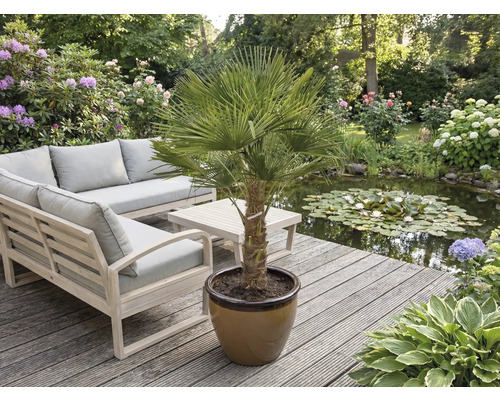 Zahradní scéna s nábytkem a palmou v květináči na dřevěné terase vedle jezírka