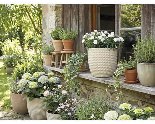 Květinové aranžmá s hrnkovými rostlinami venku