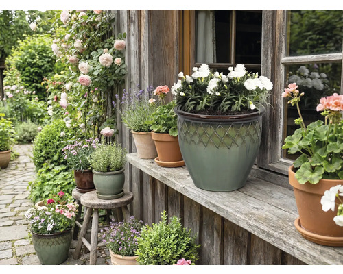 Dekorativní zahrada s květinami a rostlinami v květináčích před domem.