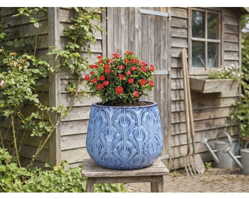 Dekorativní květináč s červenou růží na dřevěné stoličce před zahradní kůlnou.