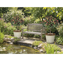 Zahrada s rybníkem, lavičkou a dvěma růžovými keři v květináčích